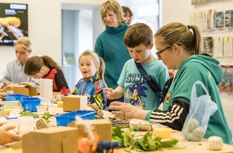 Spring at the National Museum of Ireland in Turlough Park