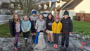 Mayo escaped worst of rainfall in January