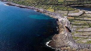 Government accused of ‘soft pedalling’ on reforms to regulate big tech