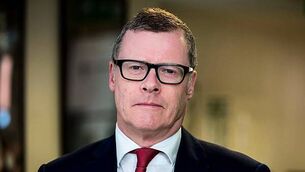 US man pleads not guilty by reason of insanity to father’s murder at Ballyfin Demesne