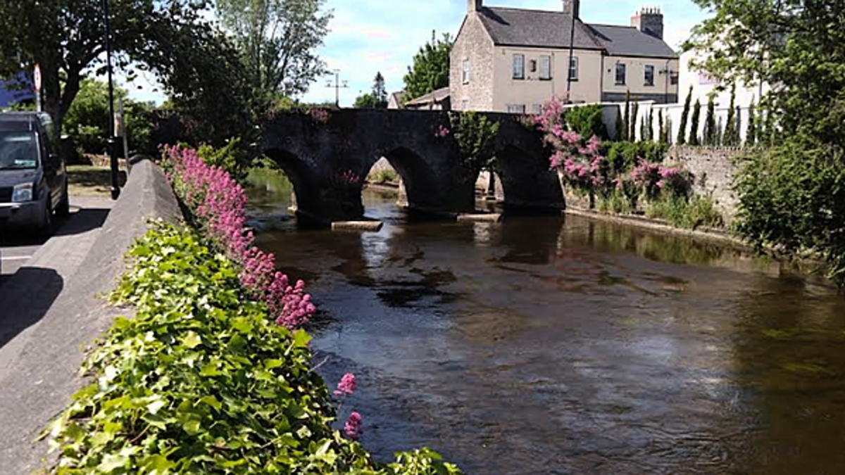 Appeal after girl (11) allegedly followed home by man in balaclava in Meath