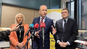 Appeal after girl (11) allegedly followed home by man in balaclava in Meath