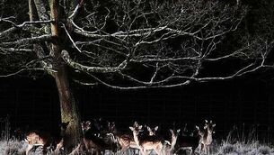 Judicial review into Metrolink project withdrawn