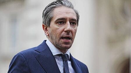 State age verification for websites an ‘important first step’, says Harris
