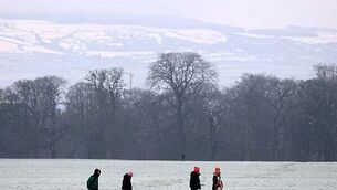 Martin calls for Sinn Féin to apologise for Provisional IRA actions while naming Stakeknife