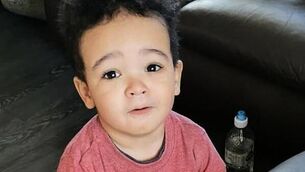 Rare sighting of sperm whale in the Waterford Estuary