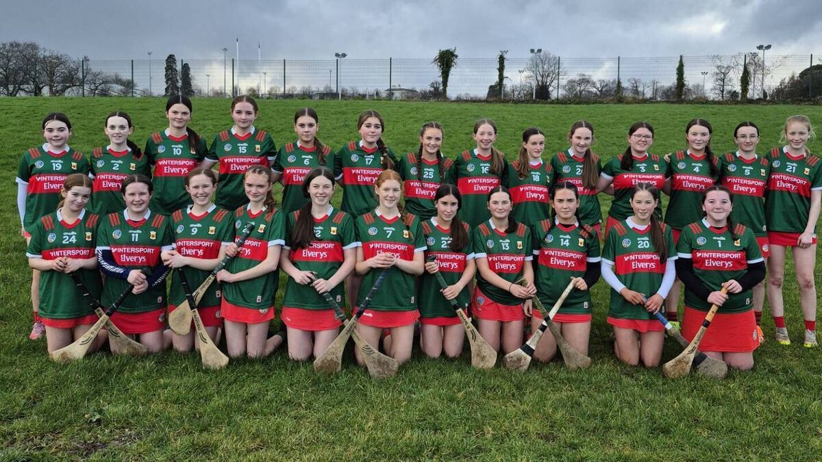 Gallant Mayo fall to defending champions