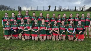 Attacking strategy requires urgent attention if Mayo are to bloom in summer 