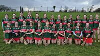 Gallant Mayo fall to defending champions