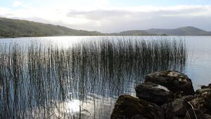 Judge calls for more public education on conservation rules