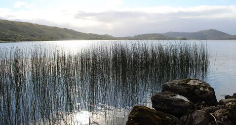 Judge calls for more public education on conservation rules