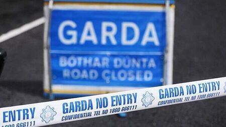Appeal for driver who fled scene of three-car crash that killed woman (30s) in Limerick