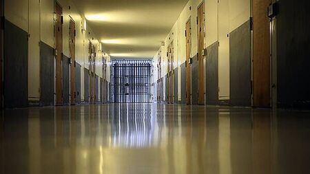 'I left to survive': asylum seekers locked up with criminals ahead of deportation