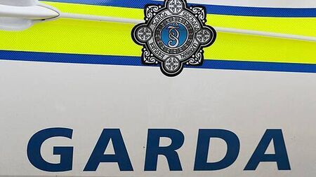 Manhunt underway after suspected petrol bomb thrown at Cork home