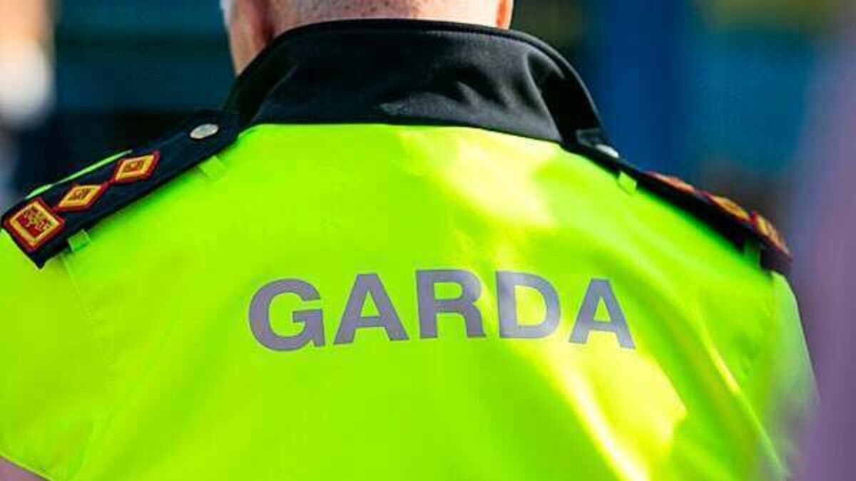 Man (30s) injured following assault in Co Dublin