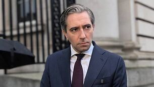 Provisional liquidator appointed to companies with small hotels in Cork Provisional liquidator appointed to companies with small hotels in Cork