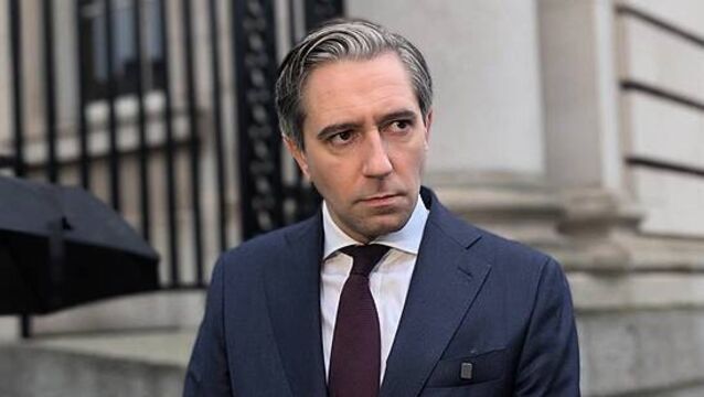 Alternate US tariffs ‘cannot be ruled out’, Tanaiste warns