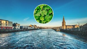 Ballina St Patrick's Day Parade: Time, what's on and theme confirmed