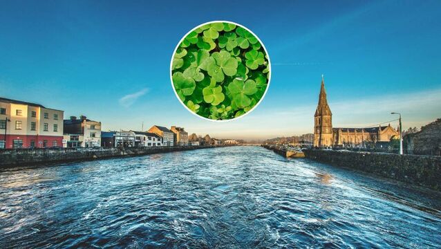 Ballina St Patrick's Day Parade: Time, what's on and theme confirmed