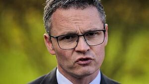 Minister slams ‘taxpayers’ money going up in smoke’ at new Louth soccer pitch