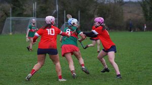 Green and Red make winning return to National Camogie League