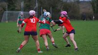 Green and Red make winning return to National Camogie League