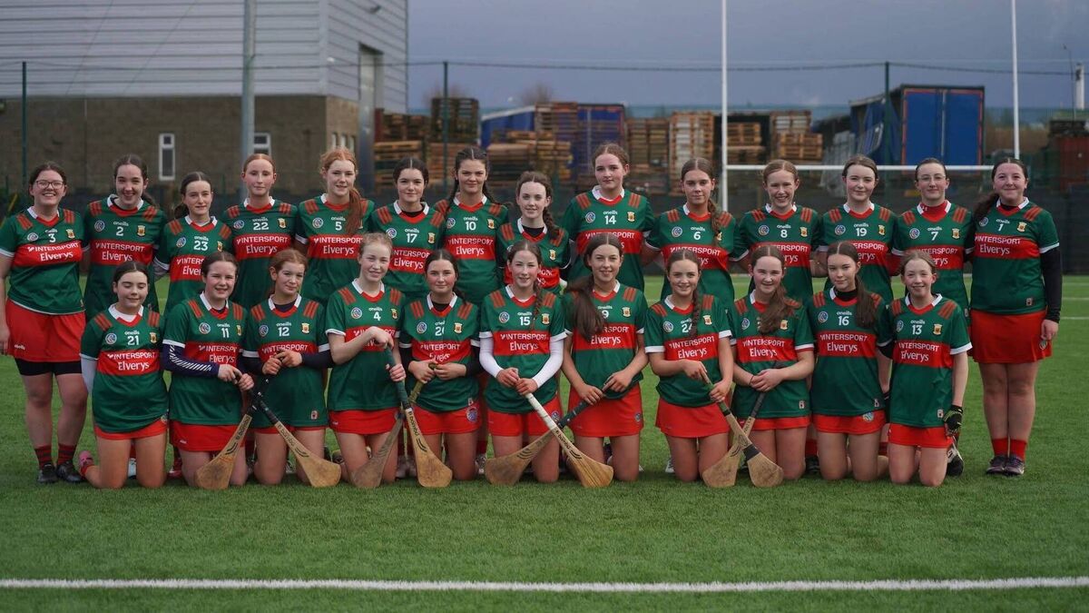 Mayo goaled down by Wee County 