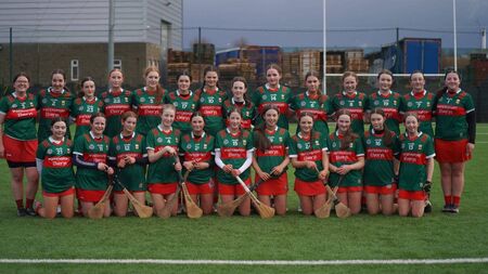 Mayo goaled down by Wee County 
