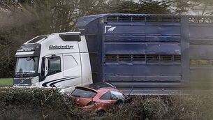 Harris: 'I don’t intend to make a martyr out of Gerry Hutch' Harris: 'I don’t intend to make a martyr out of Gerry Hutch'