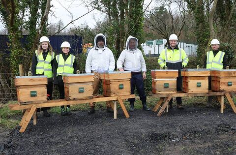 Beekeeping initiative launched at Mayo solar farm