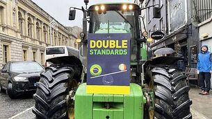 Clare man avoids jail for €6k fake ID plot to bring Moroccan woman to Ireland