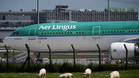 Aer Lingus' parent company posts record profits