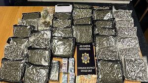 Drugs worth more than €700,000 seized and two men arrested in Dublin