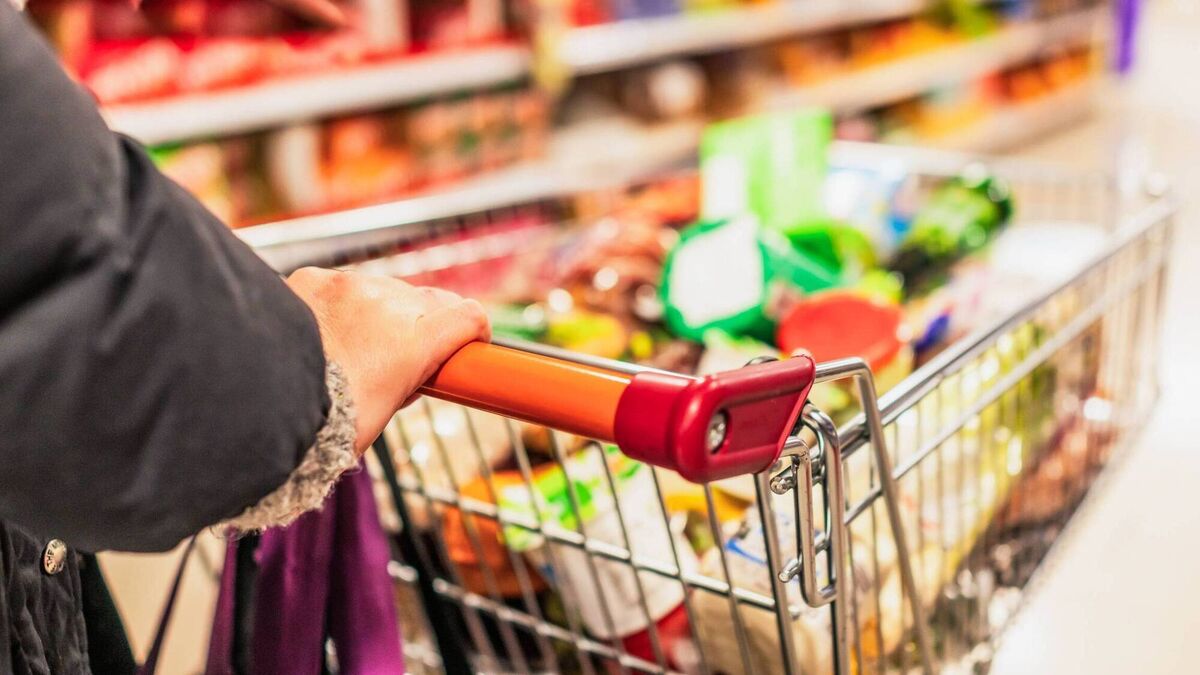 'Great addition' - New Ballina store to open this week - creating 20 new jobs