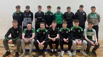 Local Notes: Charlestown Sarsfields Bord na nÓg presentation of awards.