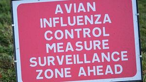 Disease controls imposed as suspected bird flu case flagged in Omagh