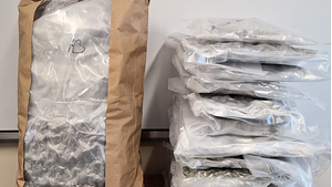 Second seizure of €150,000 worth of cannabis in Co Cavan