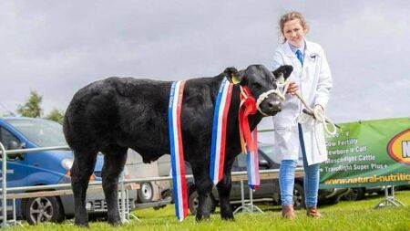 Mayo shows to benefit from new wave of funding