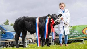 <p>Ballina Show is among the recipients of funding from the department of Rural and Community Development and the Gaeltacht.</p>