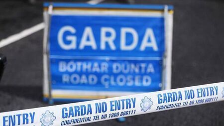 Man dies following road crash in Co Dublin