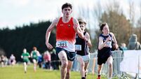 PICTORIAL: Mayo athletes in action at the All-Ireland Schools Cross-Country Championships