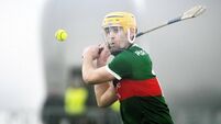 Kingdom crush hopes of Mayo hurlers