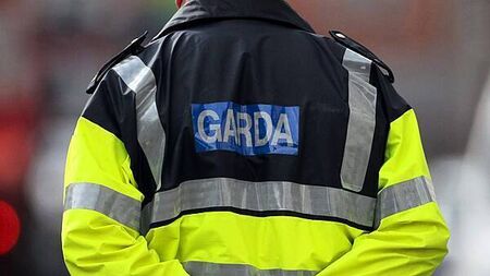 Man (20s) arrested over alleged assault and suspicious approaches to children in Dublin