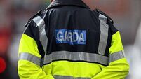 Man (20s) arrested over alleged assault and suspicious approaches to children in Dublin