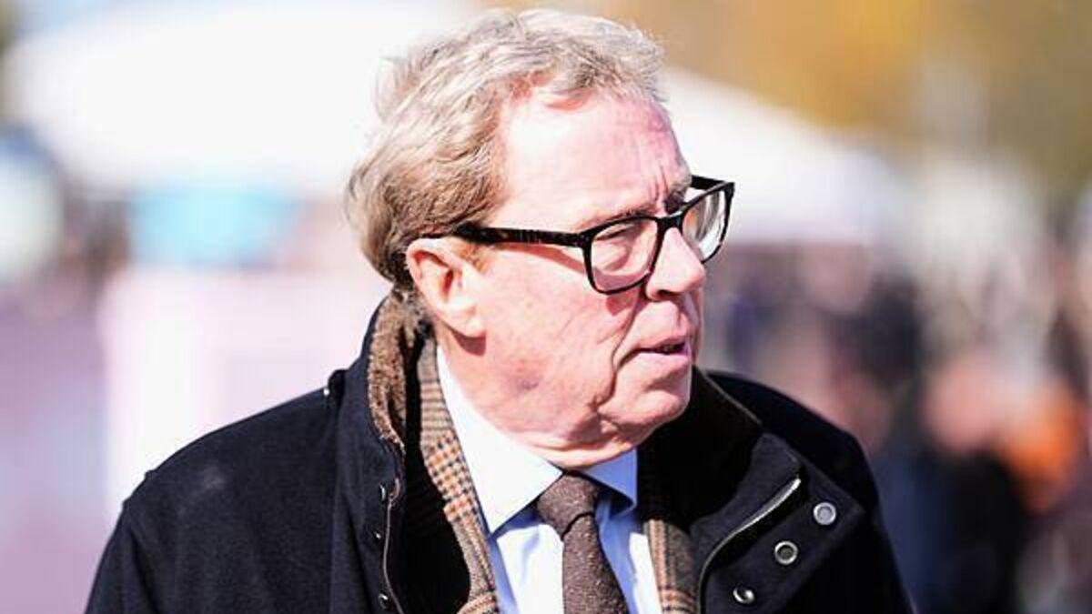 Harry Redknapp: I would go back to Spurs but I doubt it is going to happen