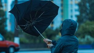 <p>A Status Yellow Rain warning is currently in effect for Mayo.</p>