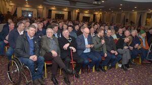 Mayo County Council calls for departure of Bord Bia chairman