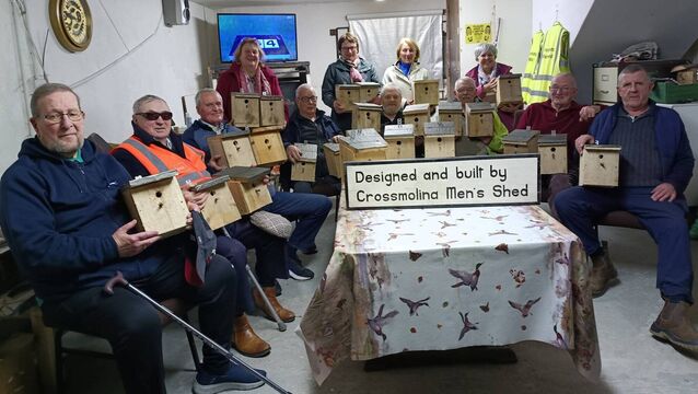 Local Notes: Crossmolina Men's Shed present 'Nest Boxes' to ICA members.