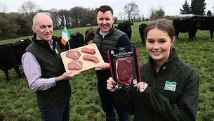 Tánaiste warns students and young people about dangers abroad