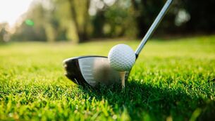 <p>Golf club and golf ball.</p>